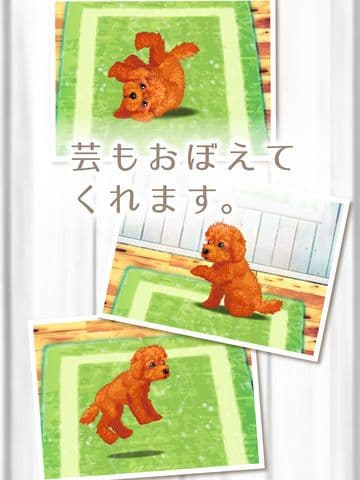 My Dog Life -Toy Poodle Edition screenshot 3