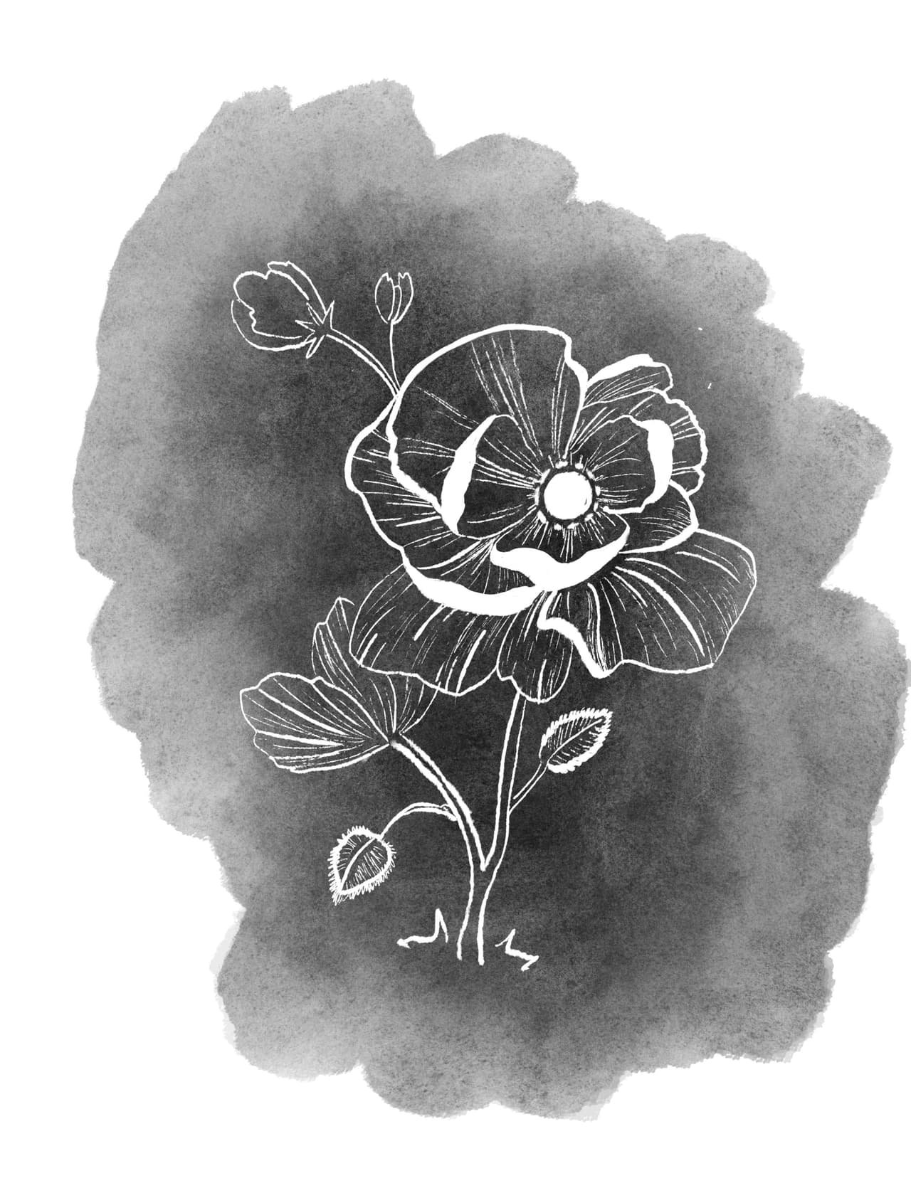 Menagerie: Interactive Story