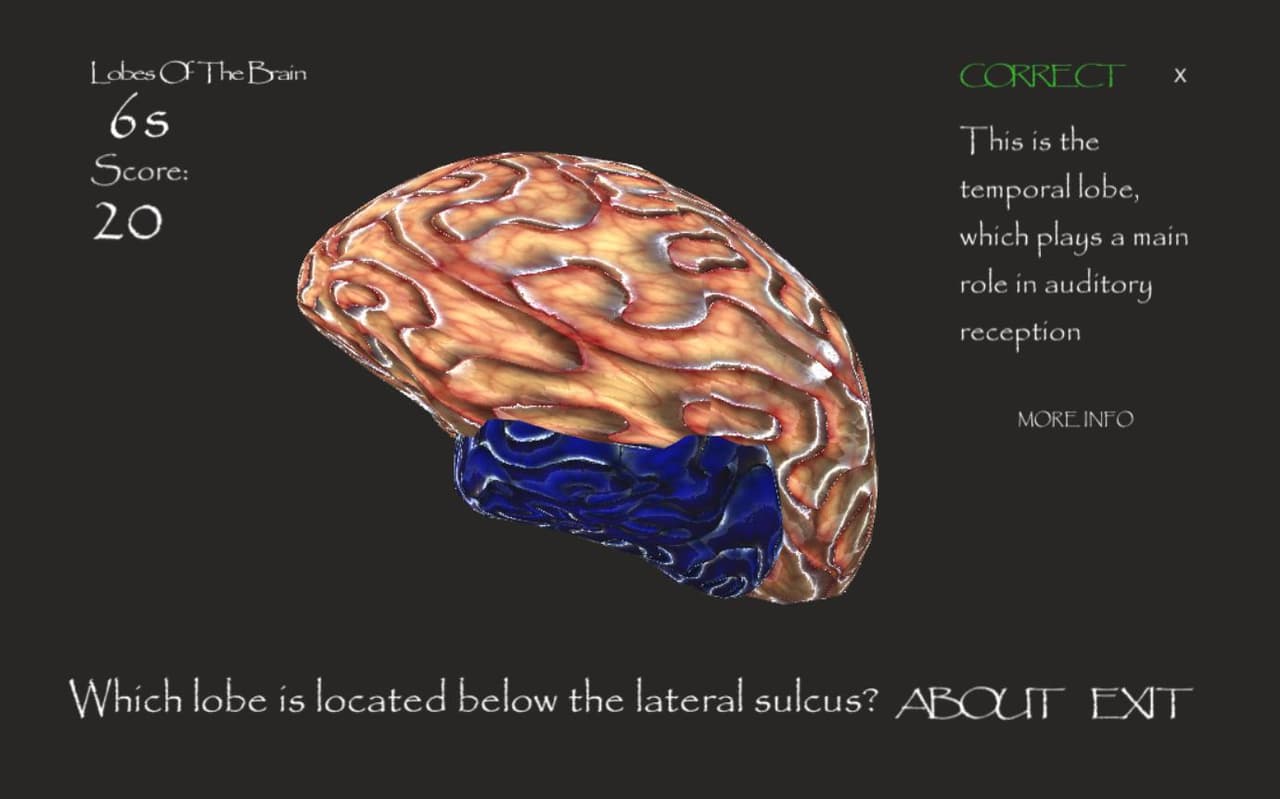Lobes Of The Brain screenshot 3