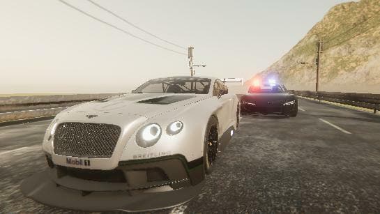 Police Race screenshot 5