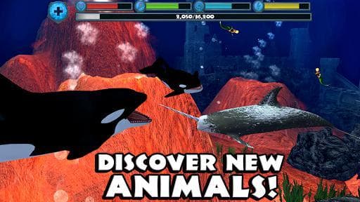 Orca Simulator