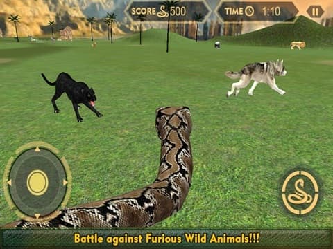 Real Anaconda Snake Simulator 3D: Hunt for wolf, bear, tiger & survive in the jungle screenshot 5