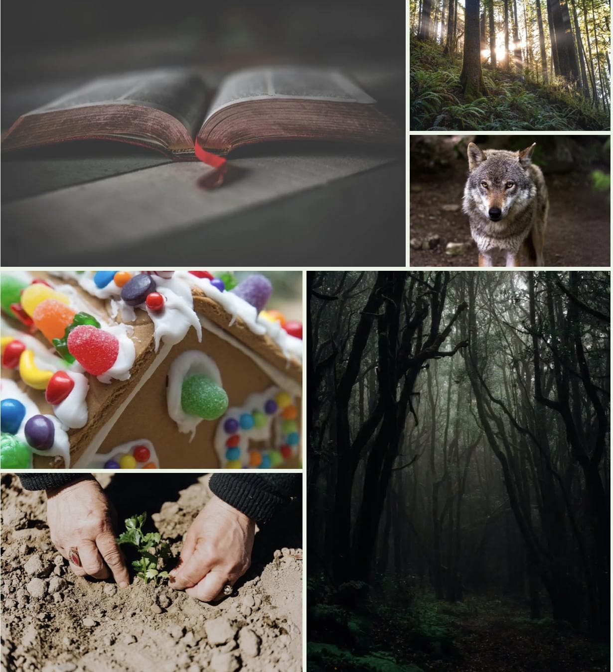 Down the Winding Path (Downloadable)