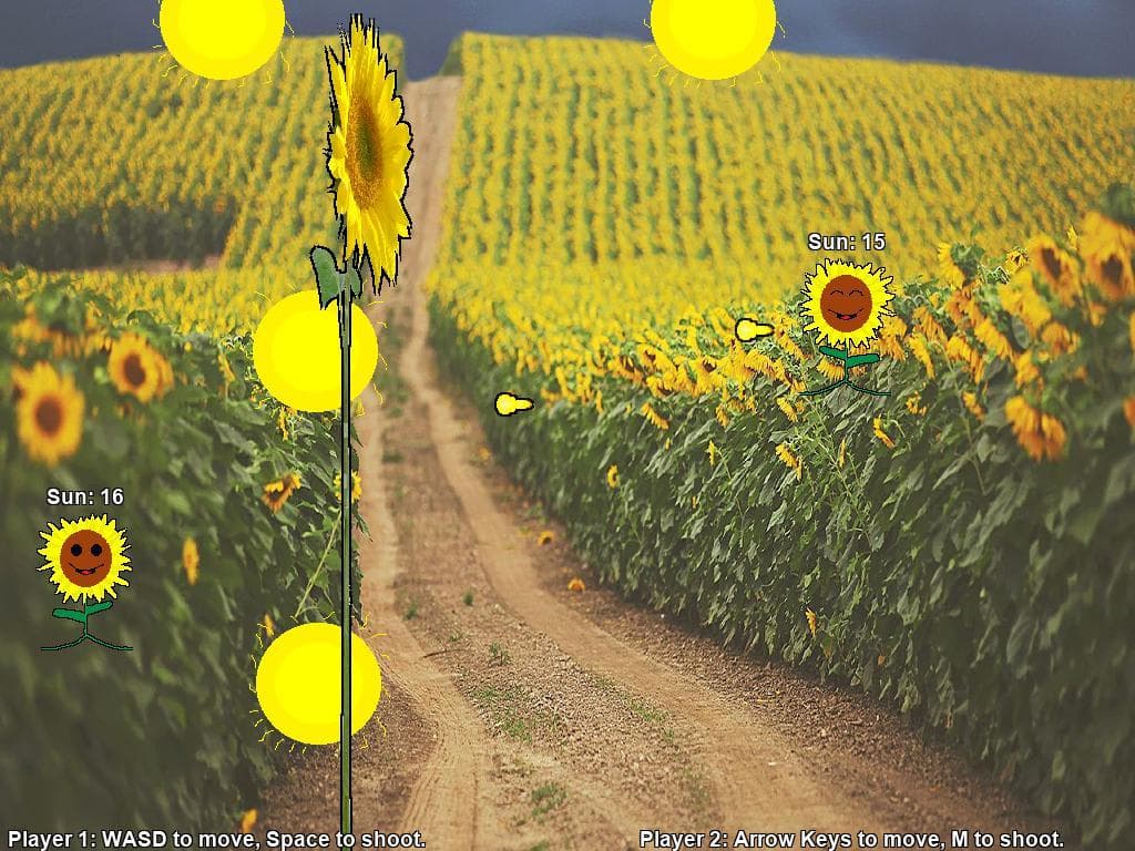 Sunny Flowers