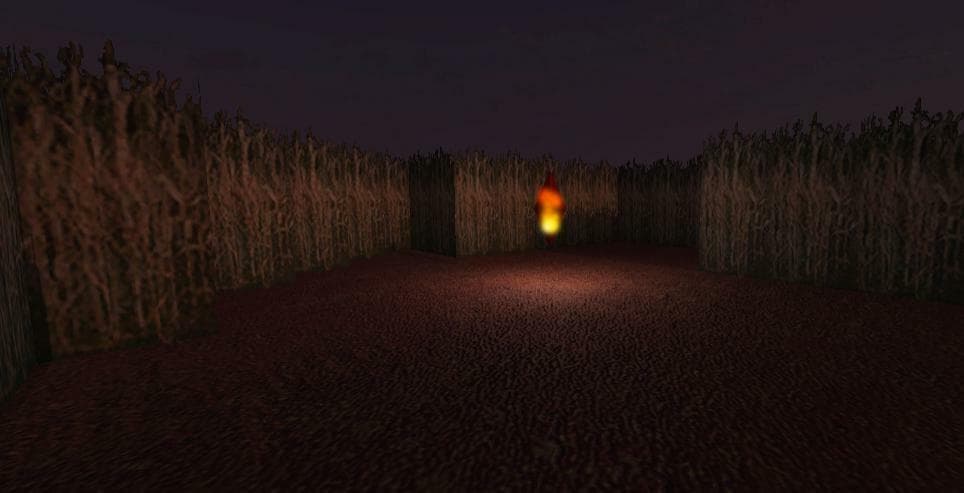 The Maze!