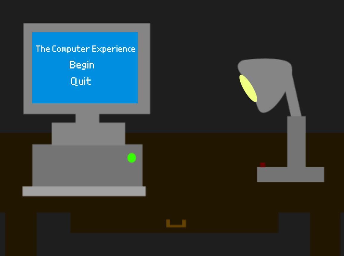 The Computer Experience