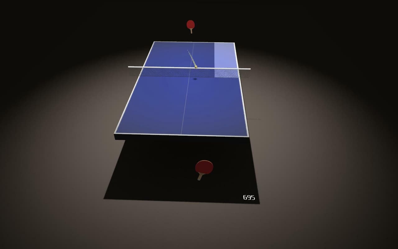 Endurance Ping Pong