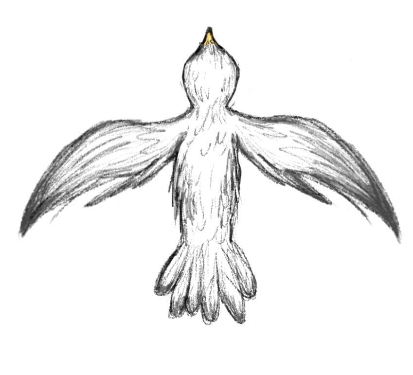 Seagull Love Chip