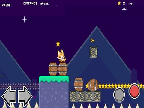 Kitty Cat Collector Run