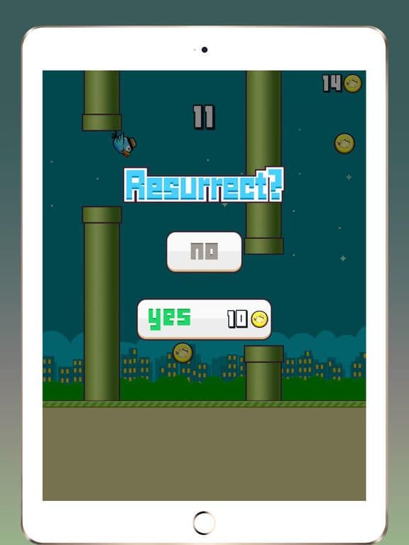 Crazy Bird:Flying bird