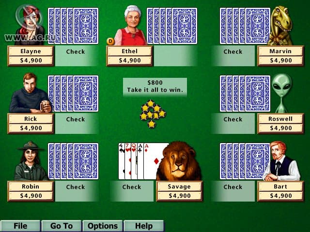 Hoyle Card Games 5 screenshot 6