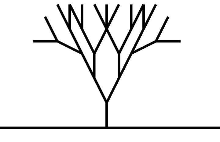 Plant Your Roots