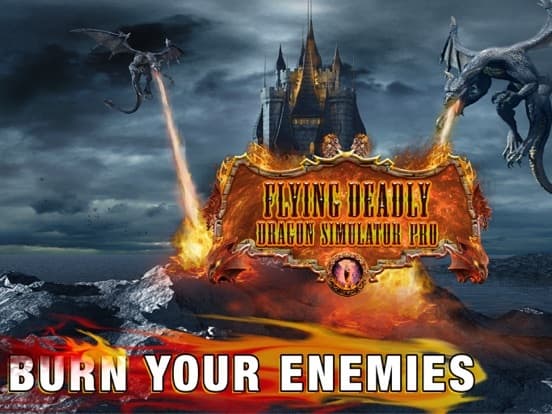 Flying Deadly Dragon Pro