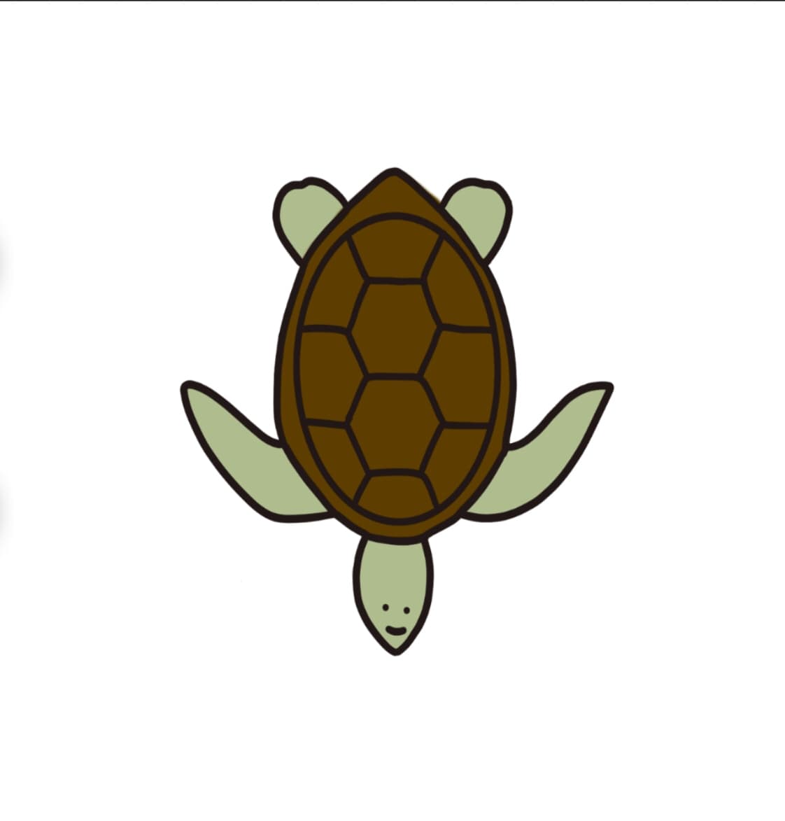 Turtle Tag