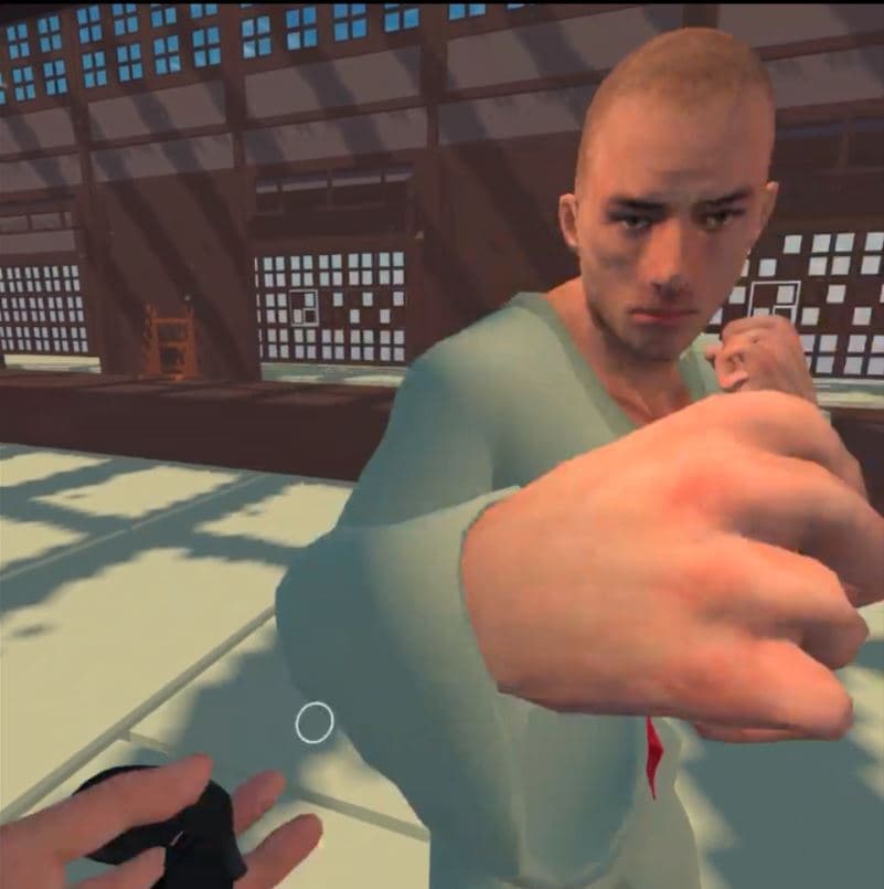 Chaotic Dojo - Self Defense screenshot 3