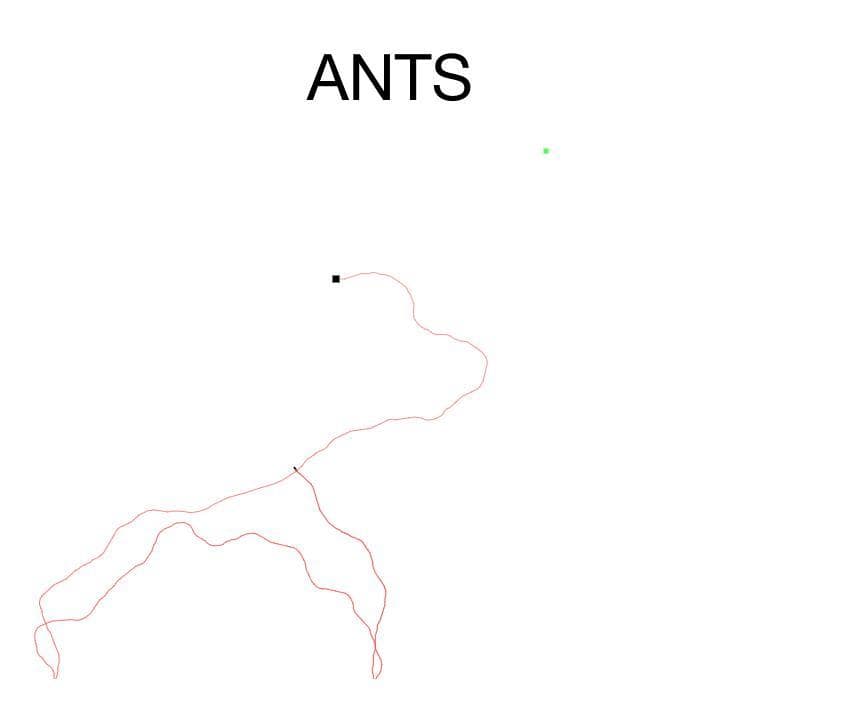 Ants (AllManyLots)