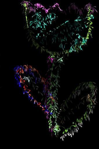 Spark Art screenshot 4