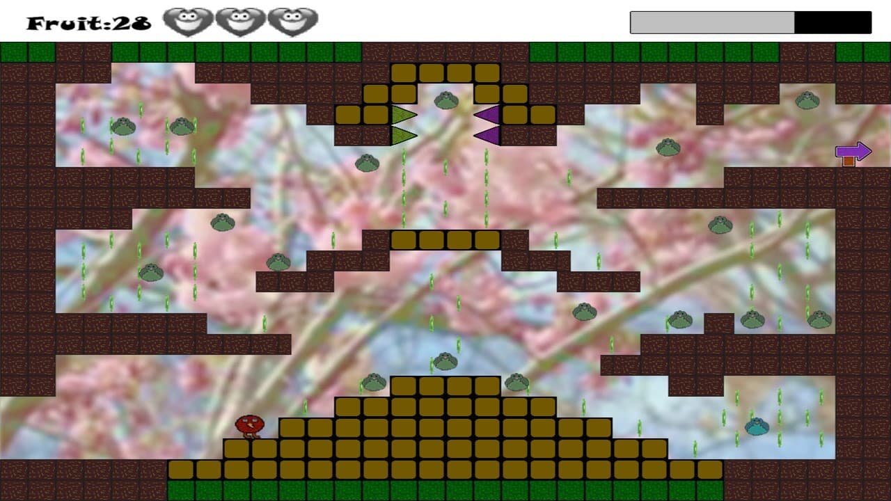 Kiwis adventures screenshot 2