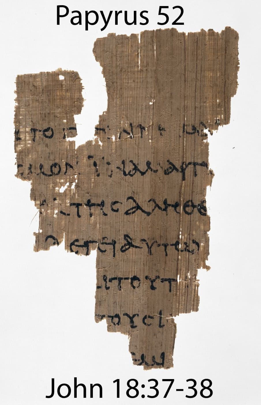 papyrus (bible-papyrus) screenshot 5