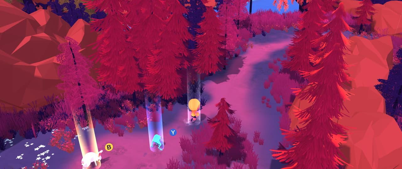 Groove In The Grove screenshot 3