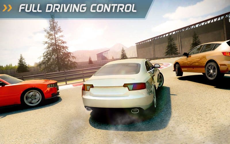 Racing Driver