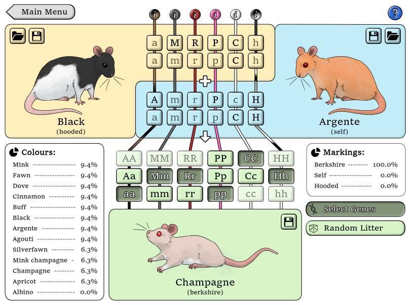 NZ Rat Colour Genetics