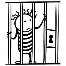Prison life demo