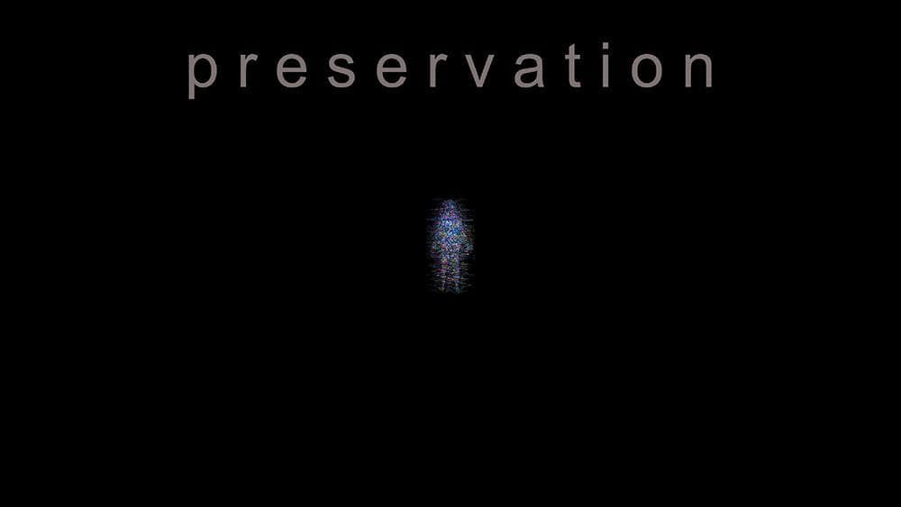 Preservation screenshot 2