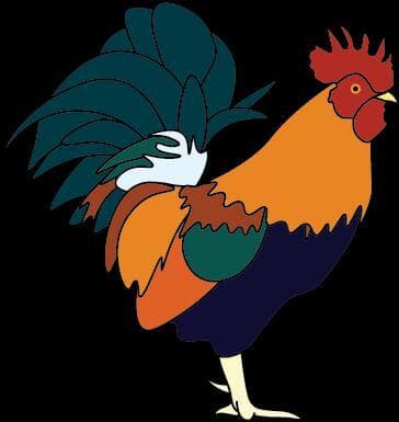 Cock Bouncer Classic HD