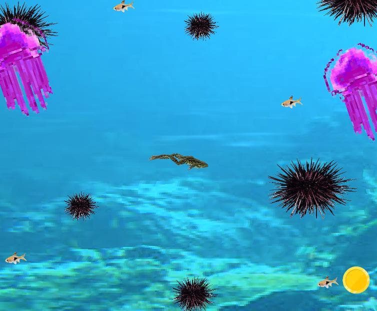 Coin Filled Cove