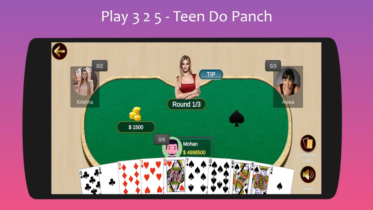 325 Card Game - Teen Do Panch