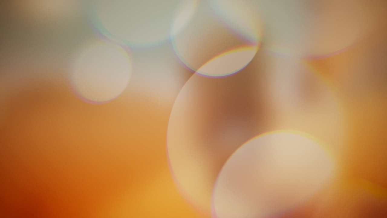 morphe screenshot 6