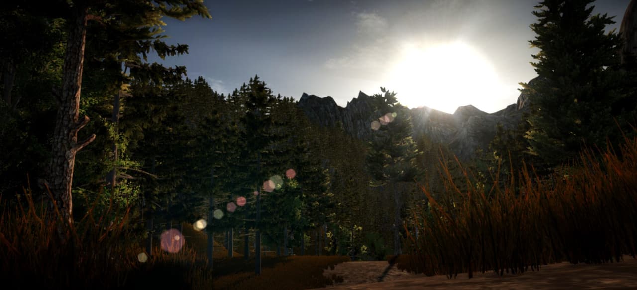 The Secrets of The Forest