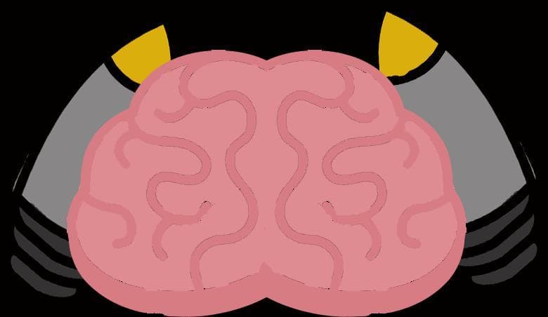 Mind Jet