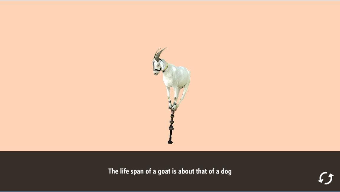 The Goat Game