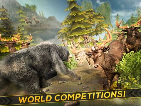 Bear Simulator 2016 . Wild Bears Simulation Games For Kids Free screenshot 3