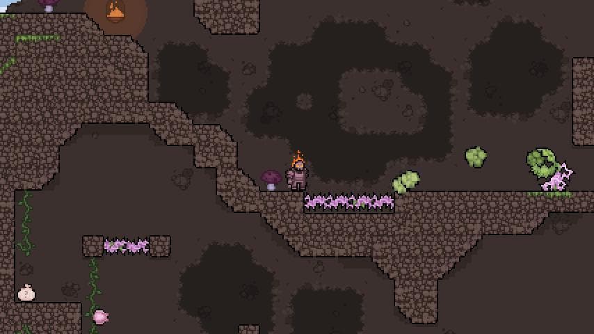 Droseraceae Rampage screenshot 3