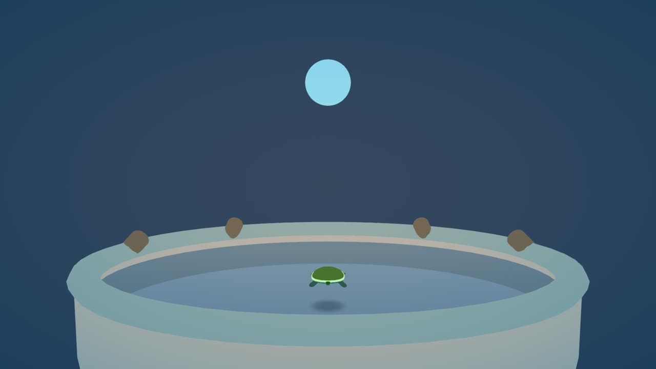You Are A Turtle