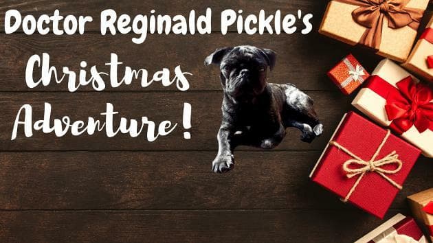 Doctor Reginald Pickles Christmas Adventure screenshot 2