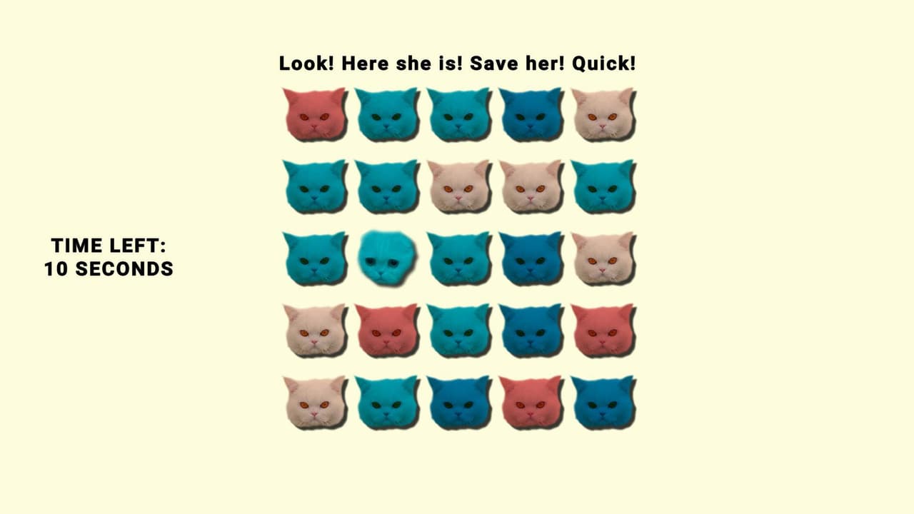 Purrfect Detective: Find Coots screenshot 5