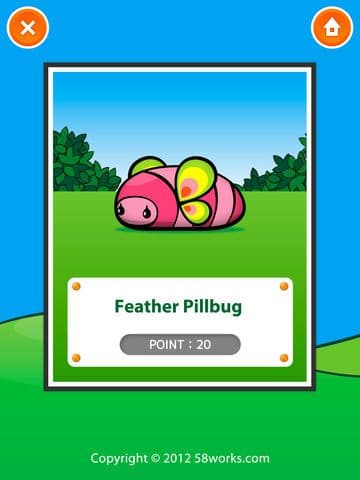 PILLBUG COLLECTION
