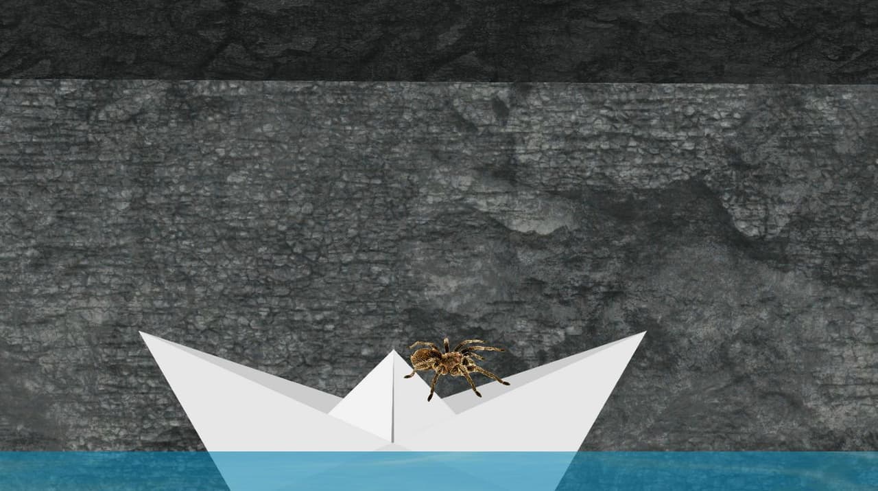 Webspitter screenshot 4