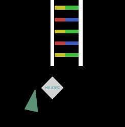 DNA Replication screenshot 2