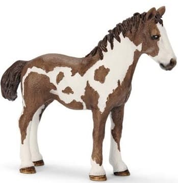 Terry Horse