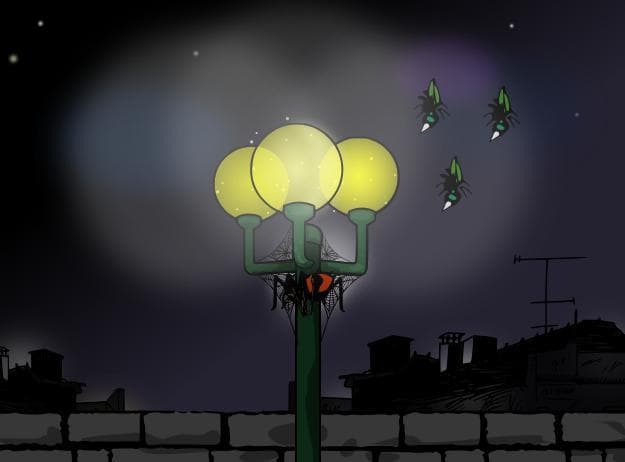 araignée du soir
