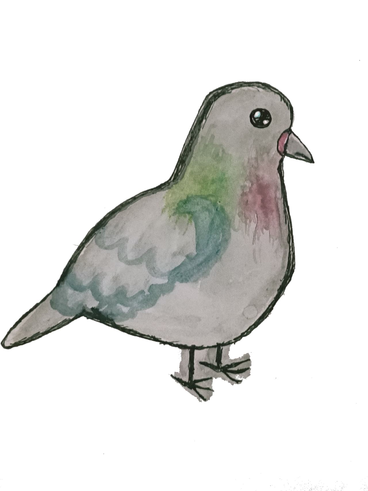 Pigeon.Msg