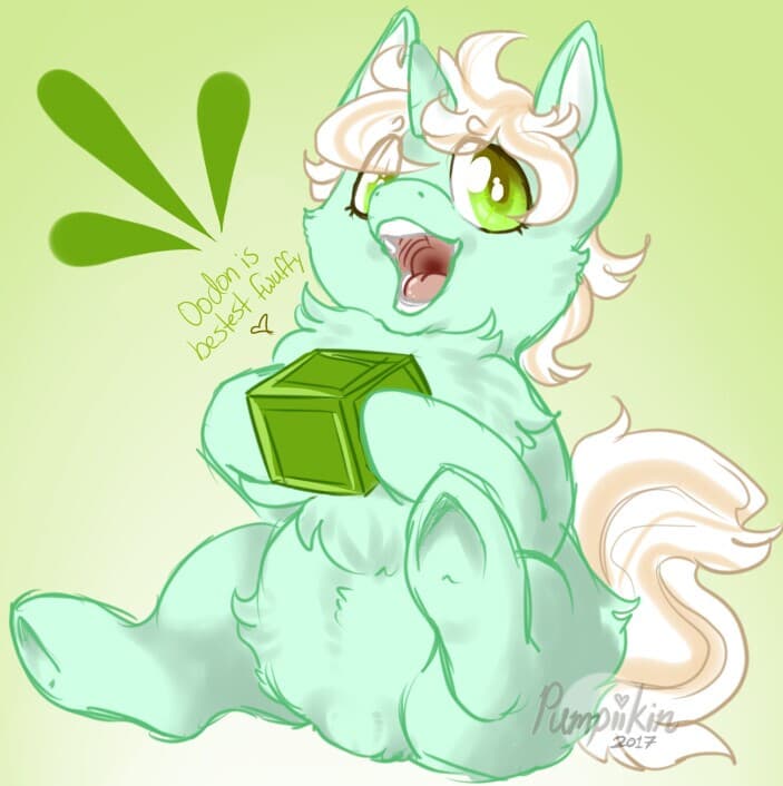 Fluffy pony breeder