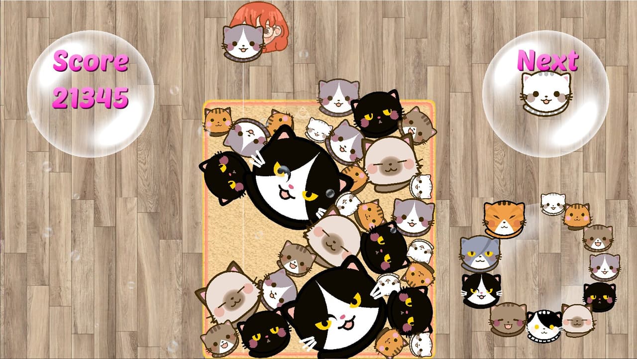 SuiCats