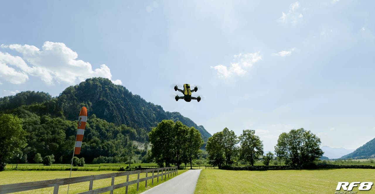 RealFlight 8 screenshot 6