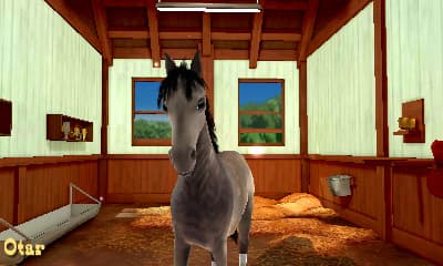 My Riding Stables 3D - Jumping for the Team screenshot 3
